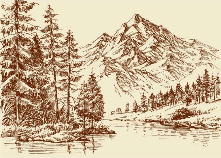 Hickory Knolls Outfitters