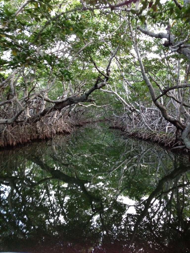 Captain Sterling's Everglade Tours