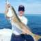 In The Slot Fishing