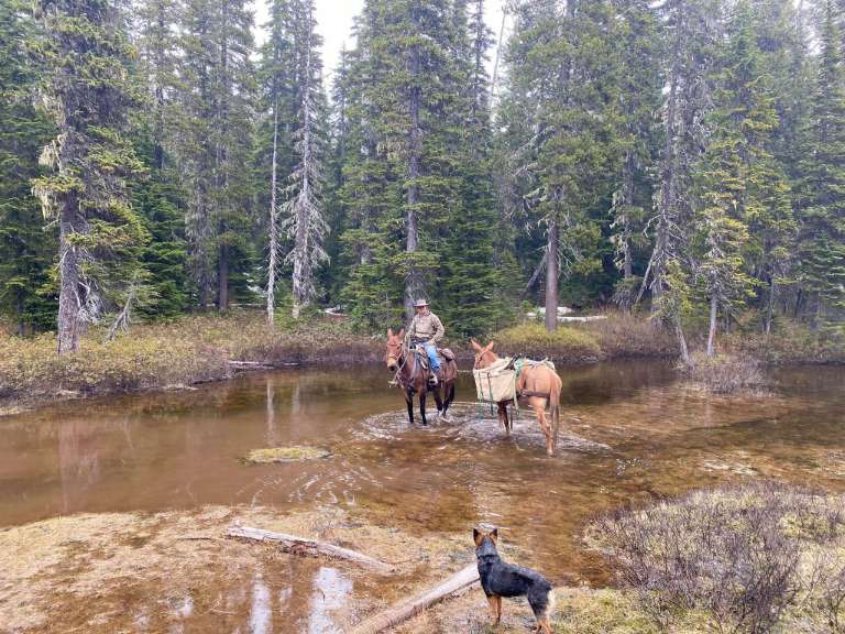 White Pass Outfitters