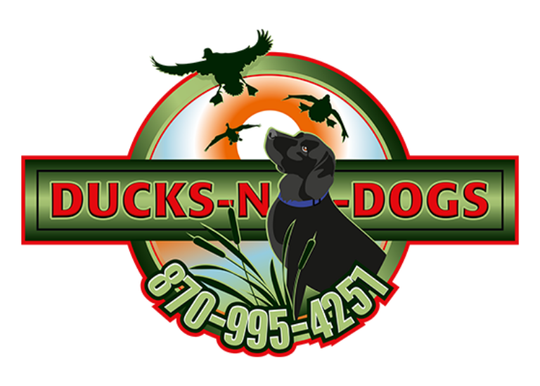 Ducks-N-Dogs