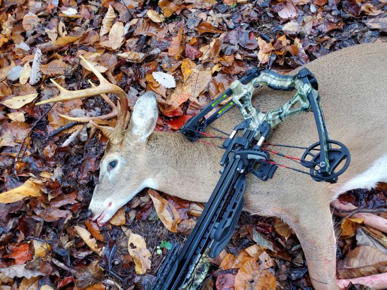 The Ultimate Guide to Crossbow Hunting