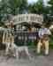 Double P Ranch: South Dakota Pheasant Hunting Lodge