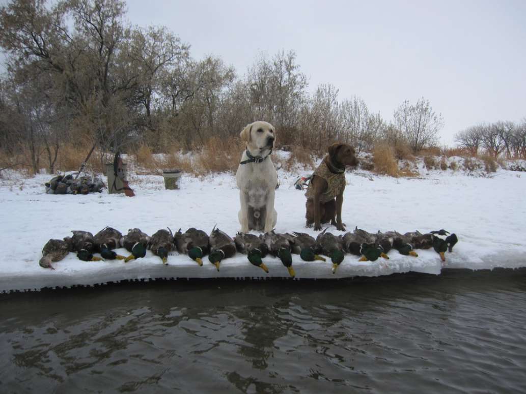 Landwehr Outfitters