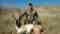Cowboy Country Outfitters Of Wyoming, LLC