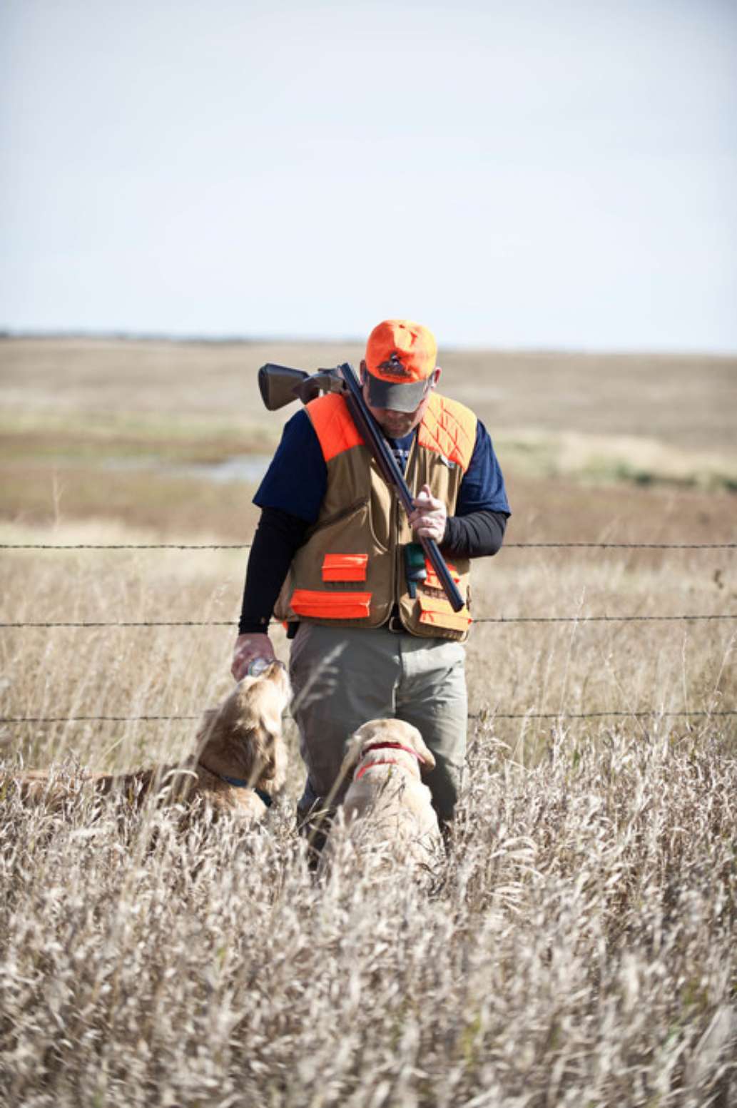 Cimpl Made Hunts