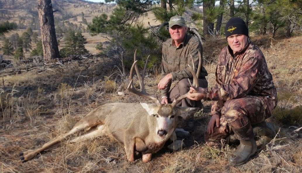 Balancing Arrow Outfitters