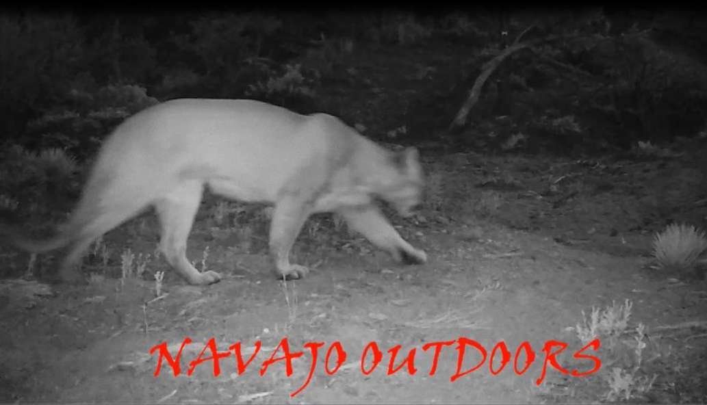 Navajo Outdoors