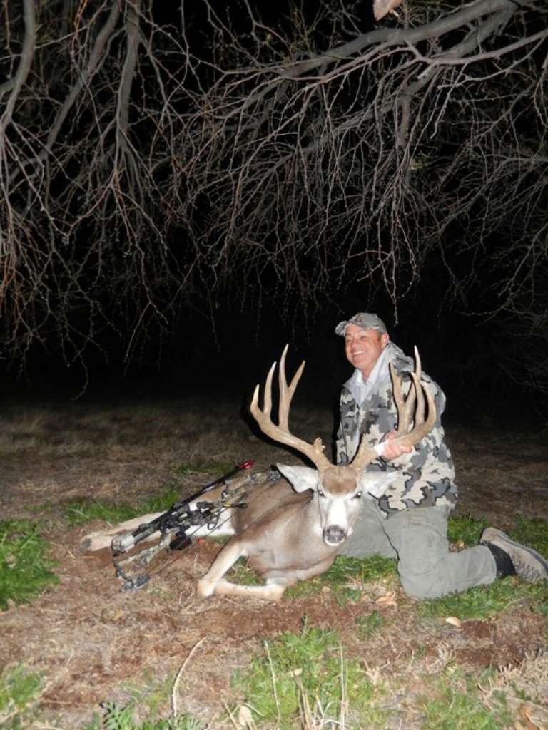 Adrenaline Guide Services