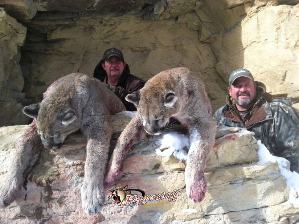 Biggerstaff Guides And Outfitters, LLC