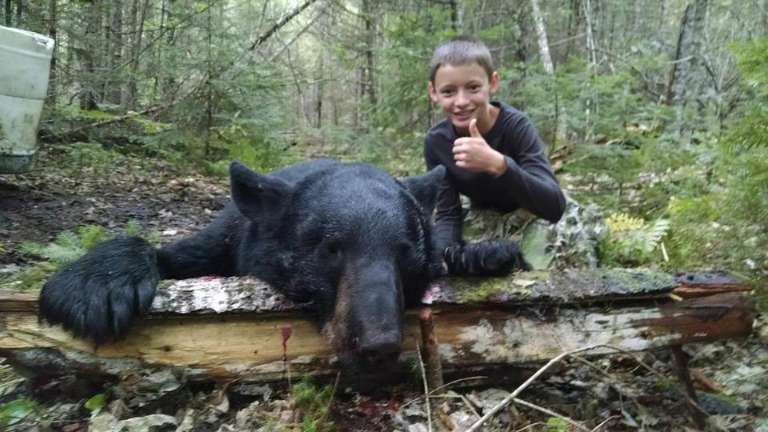 Grindstone Bear and Moose Lodge