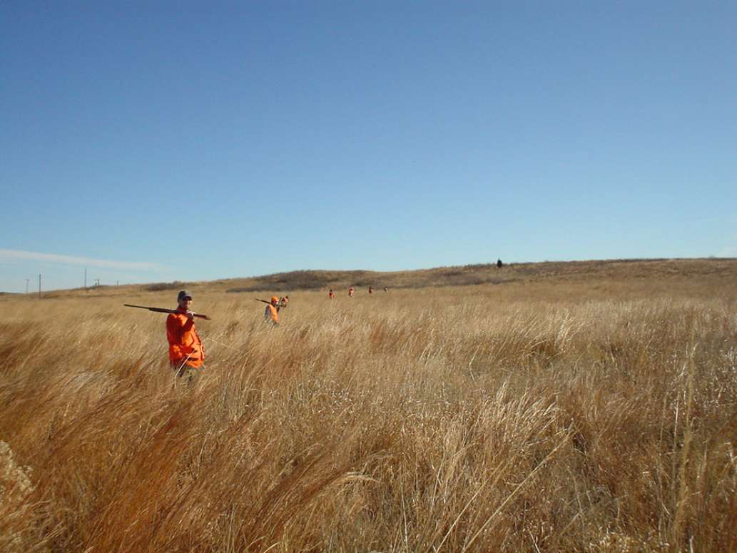 Royer Hunts