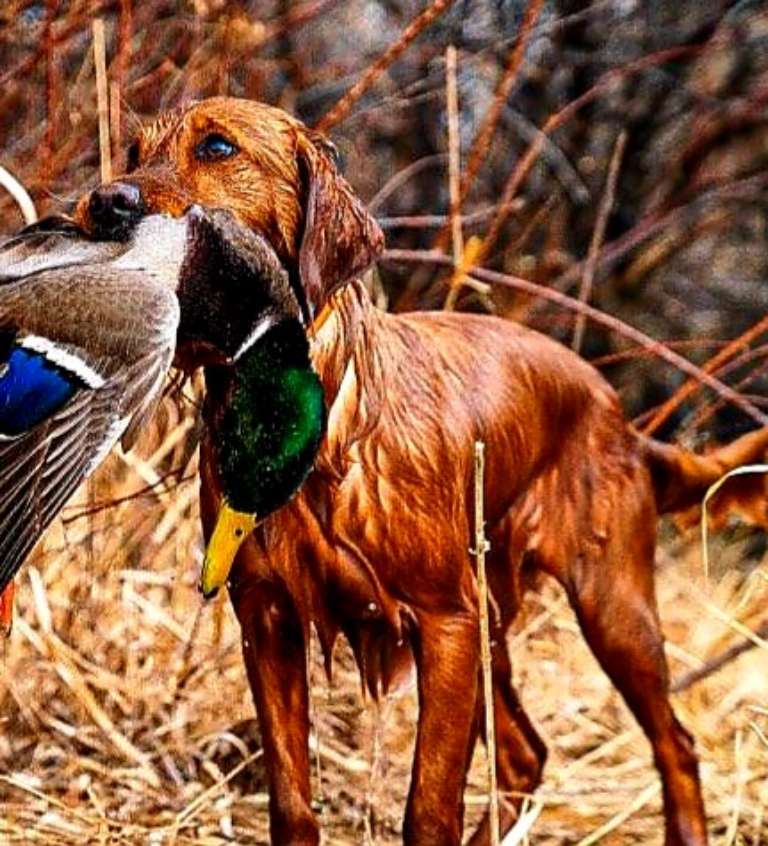 River Rock Outfitters