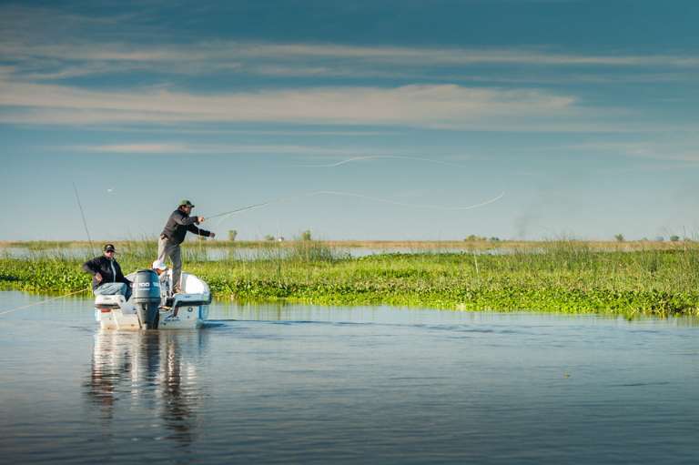 Frontera Wingshooting