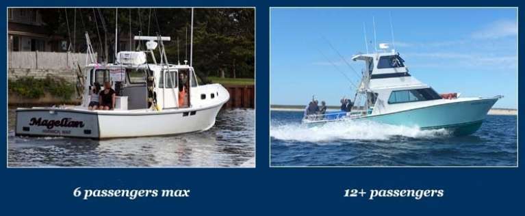 Cape Cod Sportsfishing Charters (Magellan Fishing Charters)