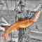 Flatsman Charters