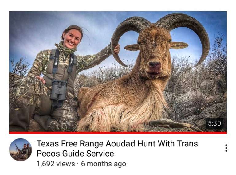 Trans Pecos Guide Service