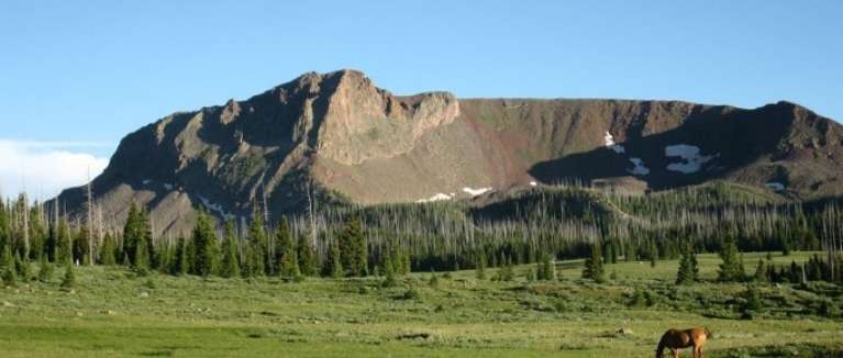 Flat Tops Wilderness Guides (FTWG)