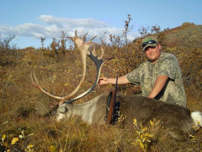 Mountain Monarchs Of Alaska