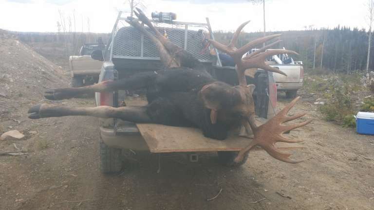 Ambush Outfitters BC (CORP)