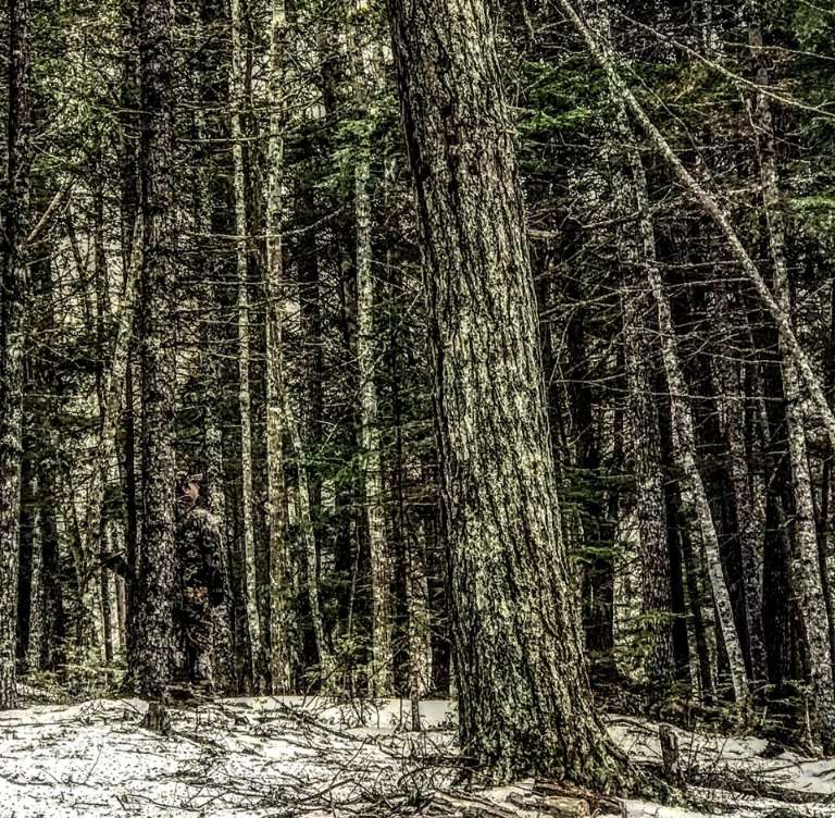 Green Ghost Guide Service