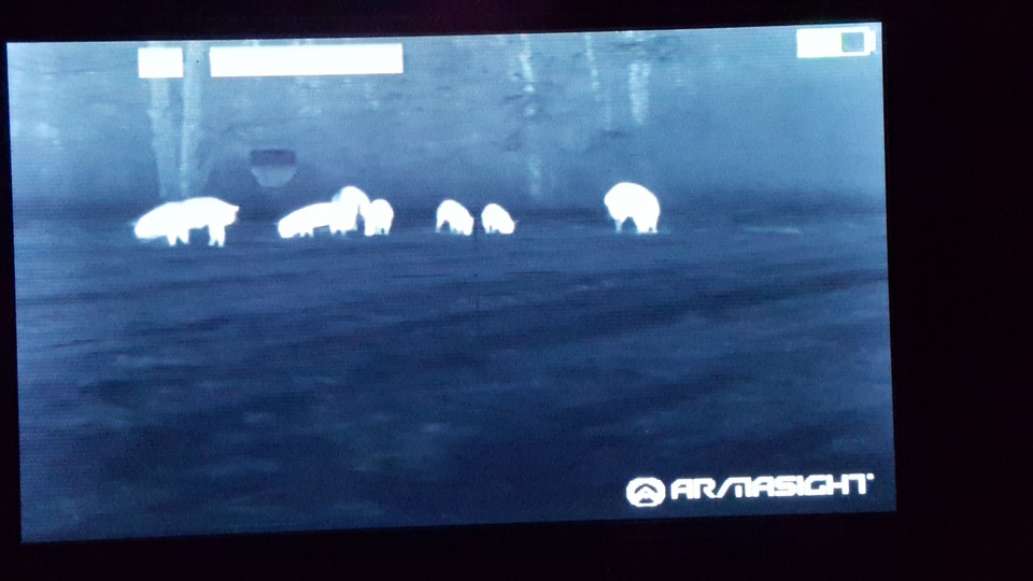 Hog S.W.A.T