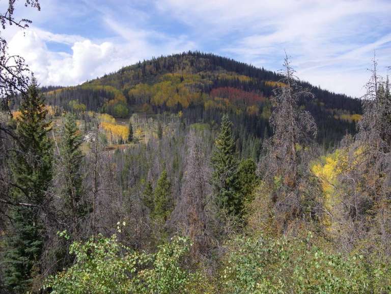 Northern Colorado Outfitters (NCO)