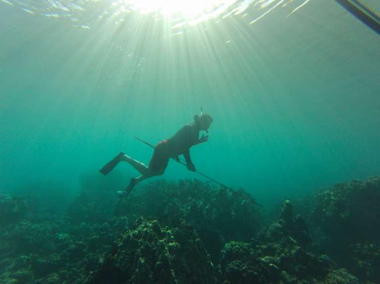 Lopaka's Aloha Adventures