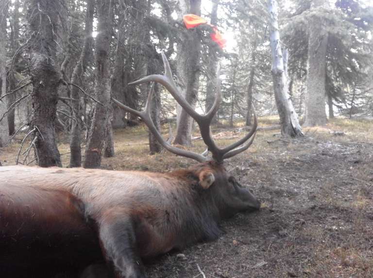 Southern Colorado Outfitters