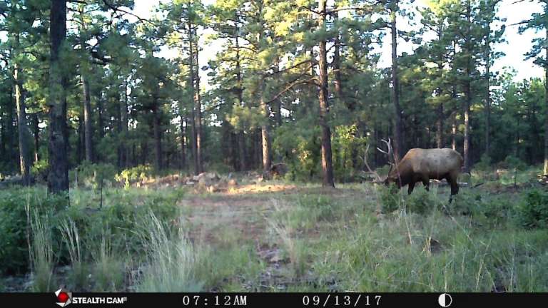 Luna Canyon Outdoor Adventures