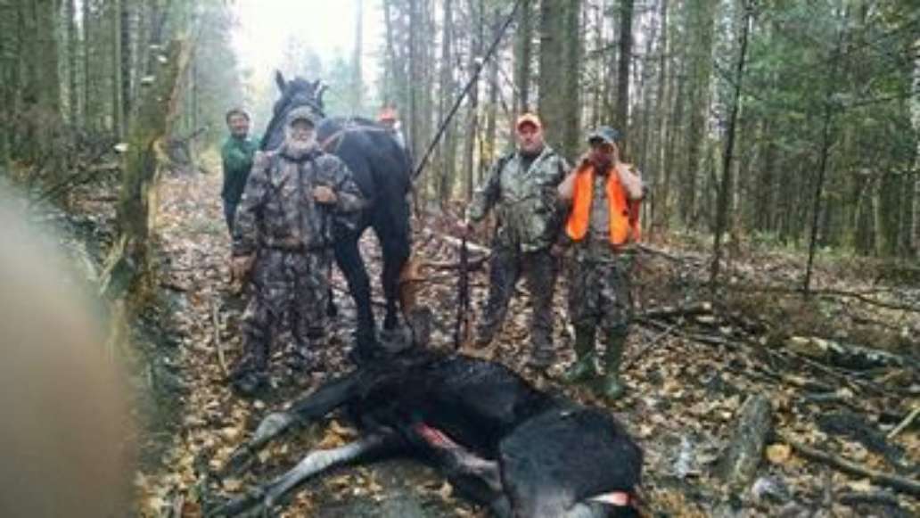 Ammonoosuc River Outfitters
