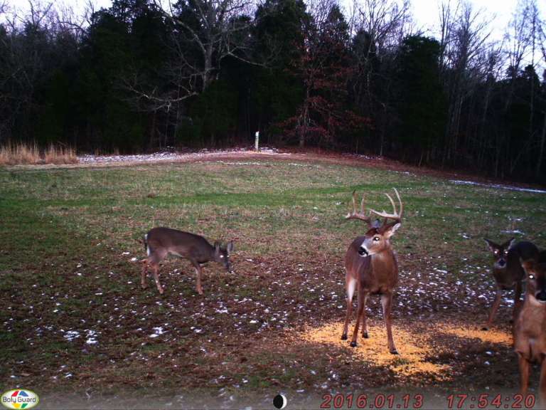 KY Heartland Outfitters, LLC