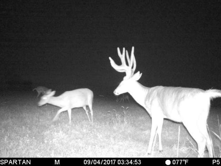 Thunder Ridge Outfitters