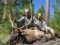 Battle Creek Outfitters