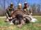 Wolf Creek Outfitters