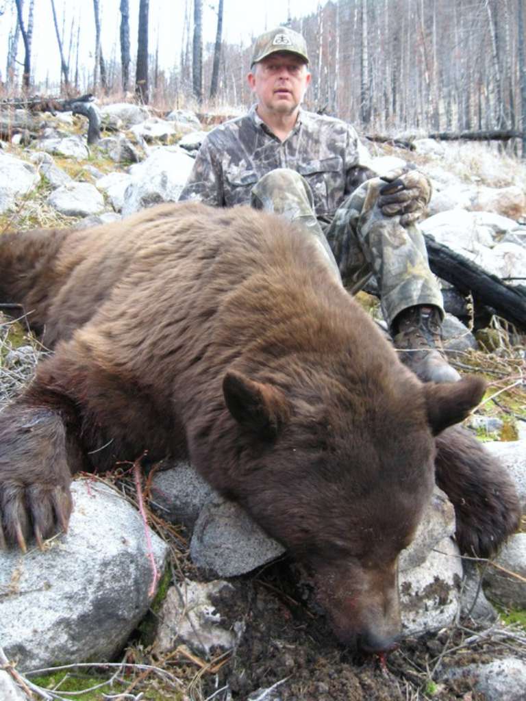 Elk Springs Outfitters