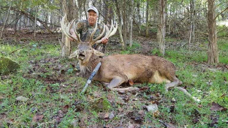 Mountain Meadow Hunting Preserve