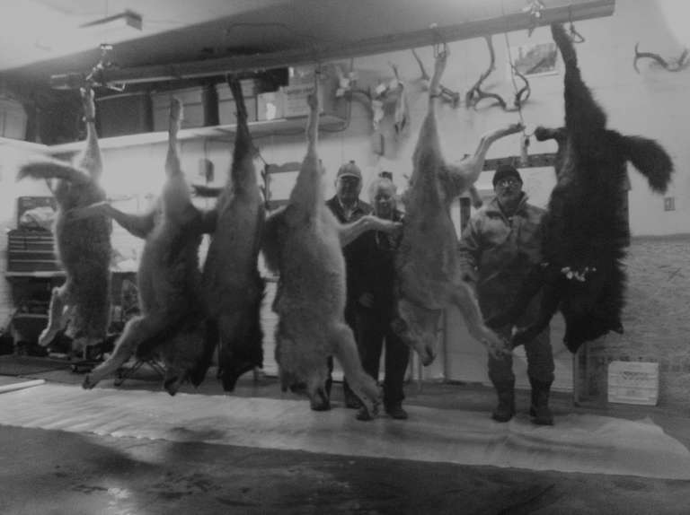 Double Diamond Wilderness Hunts