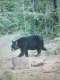 Otter Lake Outfitters