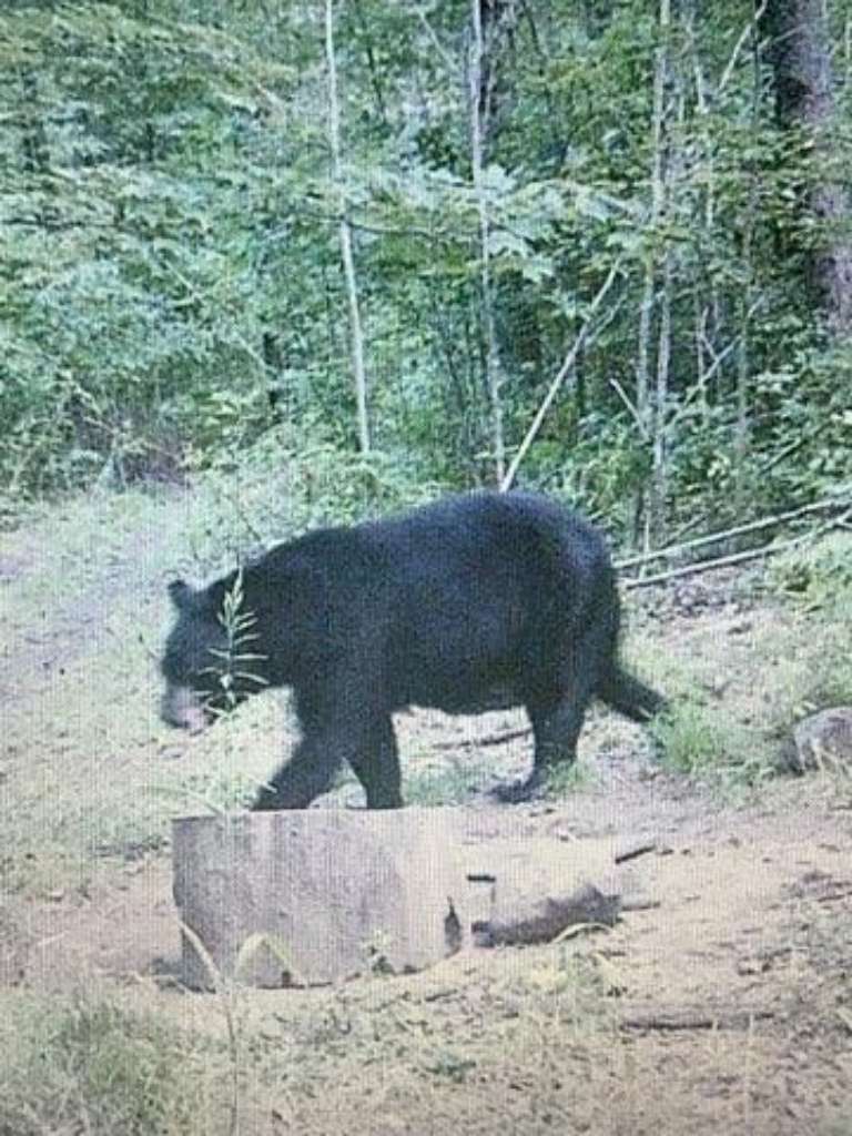 Otter Lake Outfitters