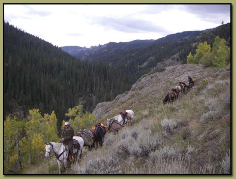 West Elk Wilderness Outfitters - Gunnison, CO