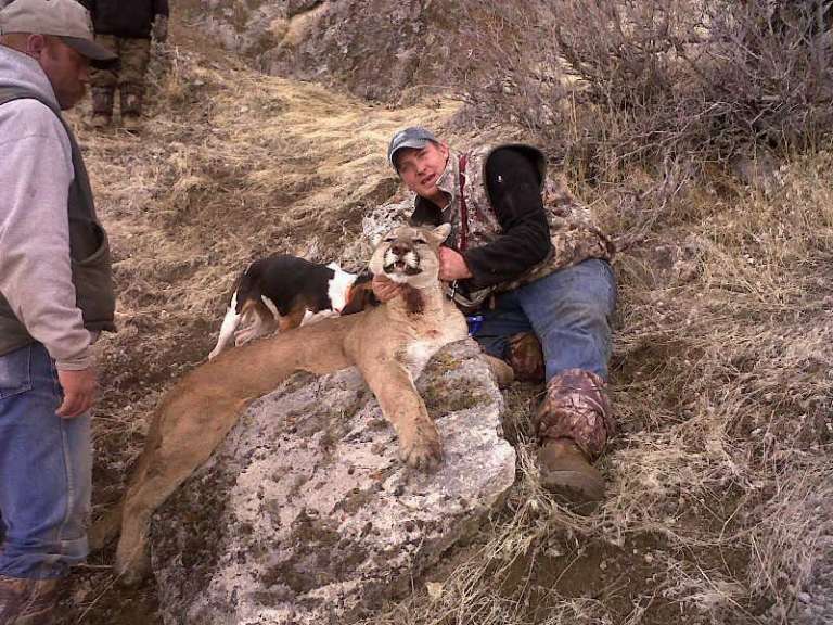 West Mountain Outfitters (WMO)