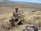 Lone Wolf Outfitters