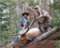 Montana Safaris