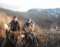 Gunson Guiding & Outfitting (Coal River Outfitters)