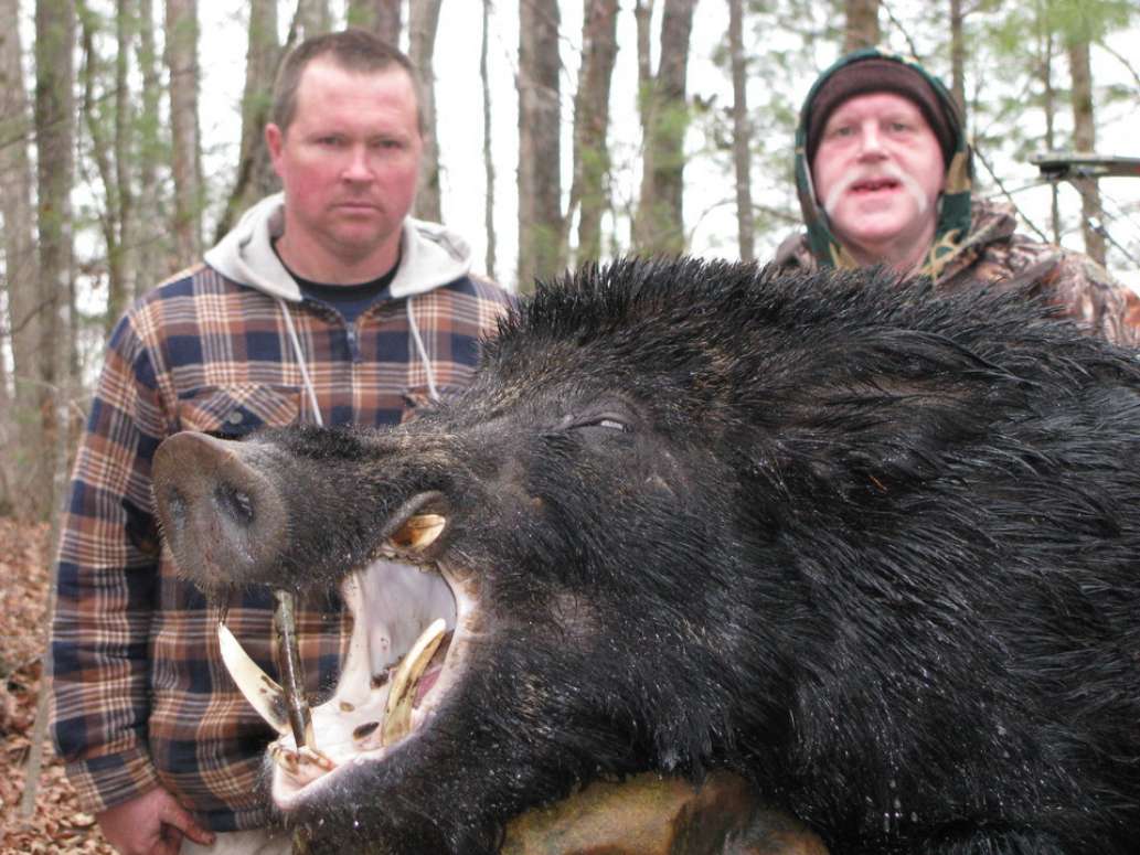 Spartan Hunting Preserve