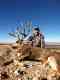 A3 Trophy Hunts New Mexico