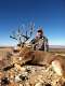 A3 Trophy Hunts New Mexico