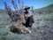 Backcountry Hunts