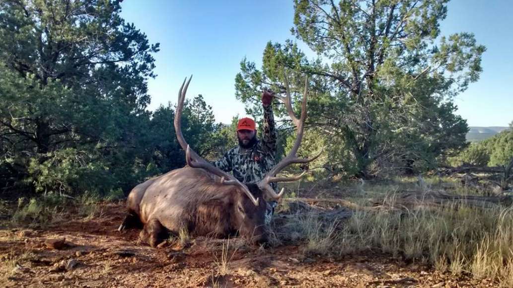Allout Outfitters